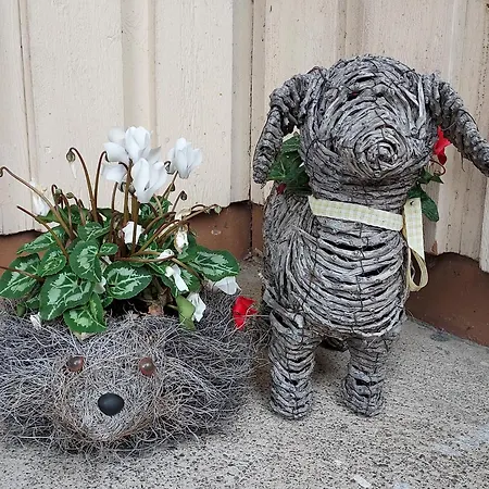 Arantilan Rivitalokaksio Appartement *